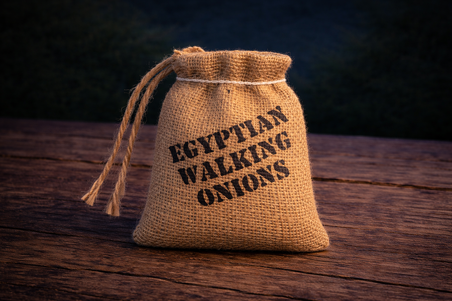 Mini burlap sack of Egyptian Walking Onion topsets.
